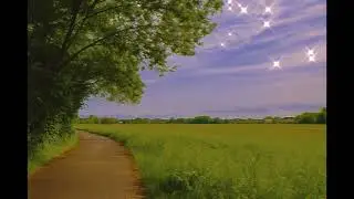 🎧🌿 1 Hour of Nature Sounds for Relaxing, Reading and Studying 📚🧘‍♂️