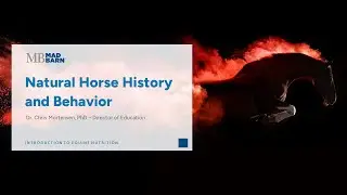 1.1 - Natural Horse Behavior - Introduction to Equine Nutrition - Mad Barn Academy