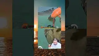 🐟: MINTA AJA BANG TAPI LU GANTINYA🗿 - MOMENT KOCAK WINDAH BASUDARA #windahbasudara #shorts
