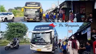 DUA HARYANTO SERBU AGEN PO HARYANTO PASAR REBO 😱 || saquena dan playmaker