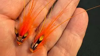 Orange Potbelly