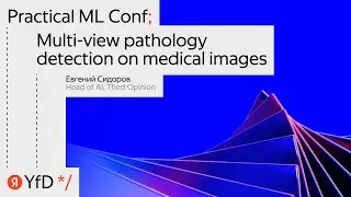 &laquo;Multi-view pathology detection on medical images&raquo;