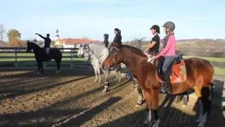 Training Working Equitation, Rinderarbeit