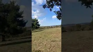 Spring Clouds Timelapse #shorts