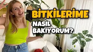 SALON BİTKİLERİM | VLOG 😎