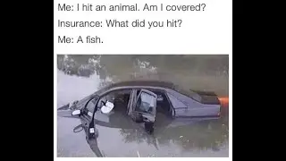 😆 Funny Memes, Puns & Jokes😆BIG Compilation Episode 16 😆 TRY NOT TO LAUGH😆Best On the Internet!