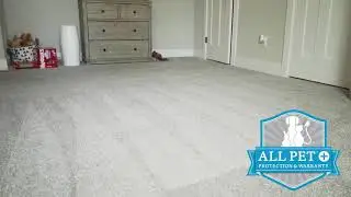 Mohawk SmartStrand Carpet