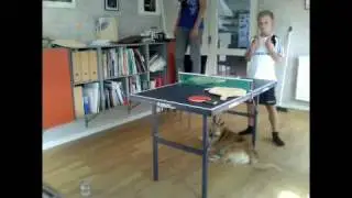 JaWiMa BeerPong