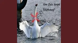 Har Oslo Drept Reithaug?