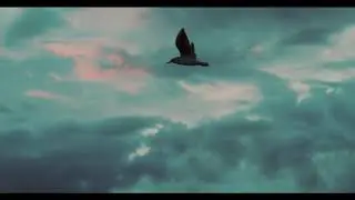 Y&AElig;KA - Ghost Bird (Official Video)