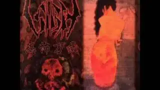 Sigh - 42 49