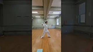 (6) 85-form Yang Style Taichi