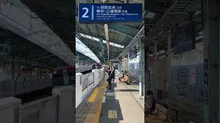 Heiwajima Station Train arriving at platform