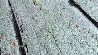 Shingle Roof Leak/Repair/Replace/Installation by G.F Sprague Roofing Needham, MA