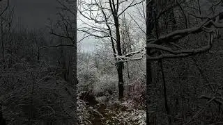 Ithaca Nature Walk (Week 50): Winter wonderland! | GoPro 4K POV #gopro #ithaca #nature