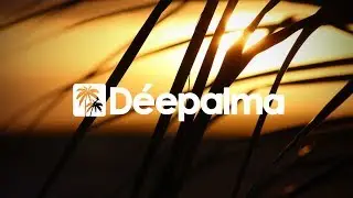 Nebs Jack - Elegija [D&eacute;epalma Records]