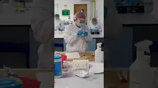BSc (Hons) Forensic Science | Laboratory | Major Incident | University of Cumbria