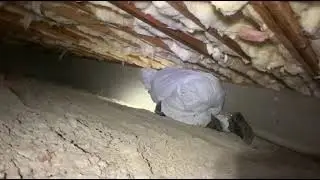 Install Wall Insulation and Clean Your Crawl Space in Napa to Transform Your Home.