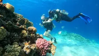 Reef Oasis Blue Bay Resort