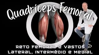 Músculo Quadríceps Femoral: Reto femoral, Vasto lateral, Vasto intermédio e Vasto medial