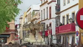 Virgen de la Palma Plaza de San Lorenzo-Cardenal Spínola, Hermandad Buen Fin 2024