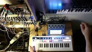 Transmission 1 - Ambient Improv - MI Elements / Rings / Clouds / Korg MS2000 / Circuit Rhythm