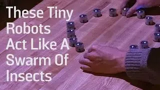 These Tiny Robots Act Like A Swarm Of Insects