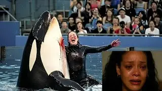 Rihanna - Echoes Of Jessica Radcliffe' Killed in an Orca Whale Attack (Unofficial Music Video 2025)