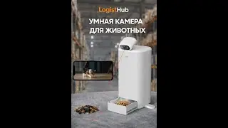 Купить умную кормушку для животных с камерой