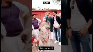 Oot ki sawari 🐪🐪 Part 1