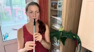 The Old Grey Goose (irish jig) - tin whistle Bb + SHEET MUSIC