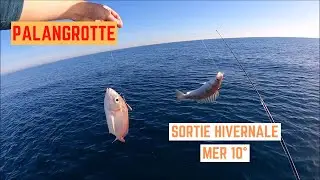 Sortie HIVERNALE à la PALANGROTTE, c'est la REPRISE !