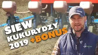 Uprawa i SIEW KUKURYDZY 2019 Grocholin +przegląd pszenicy, rzepaku ☆ TAK TO ROBIĘ vlog #05