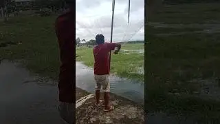 tangkul ikan dapat ikan kecil kecil #shorts #tangkulikan #perangkapikan