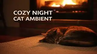 Cat Fireplace Night Ambient 🐾 Quiet Cozy Background | 3 Hours