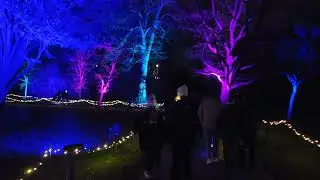 Christmas At Bute Park 2025! ✨️