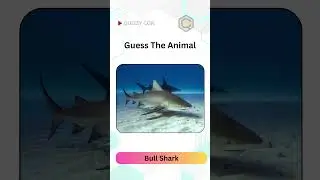 Animal Guessing Game -389 | Can you Guess these Animal Names | Animal Names |#quizzycon  #animals