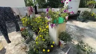 Lovely small town of Balasore 