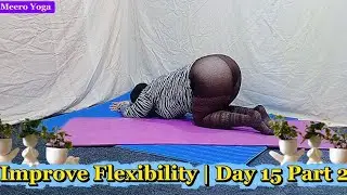 Gentle Full Body Stretching Routine | Improve Flexibility | Day 15 Part 2