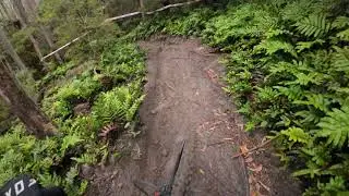 Tas Gravity Enduro 2025 | Round 4 - Maydena | Stage 1 - Sideshow Bob + Lower Marriotts