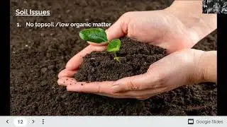 (ESC3017) Regulating Services: The Maintenance of Soil Quality
