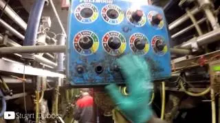 Milking Cows