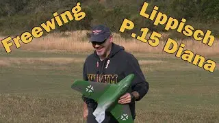 Freewing Lippisch P.15 EDF Jet - Remote Control Plane