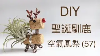DIY wire 教你如何使用彩色鋁線製作空氣鳳梨  立體馴鹿 馴鹿 鹿 How to make Aluminum wire Air plant
