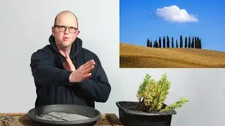 Bonsai Landscape Challenge - Tuscany!