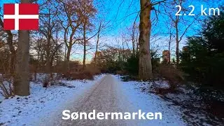 Virtual Run | S&oslash;ndermarken | 2.2 km | Afternoon Run in a Snow Covered Park (Battery Died at 2.1 km)