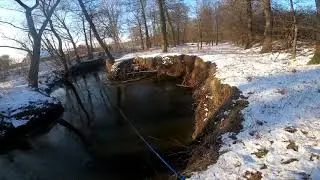 Szotkówka w styczniu