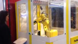 Robot Safety Enclosure