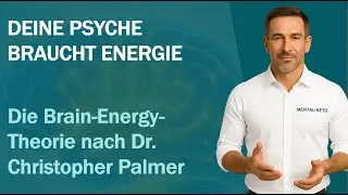 Warum viele psychische Probleme ein Energieproblem sind | Die Brain-Energy-Theorie nach Dr.C. Palmer