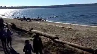 Second beach Vancouver 2015 Stanley Park